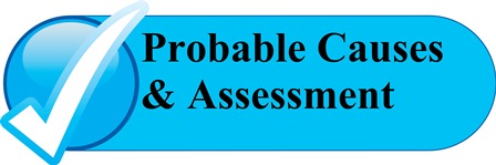 P2PM2 Probable Causes & Assessment for ADHD Cover Image